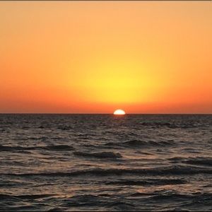 Meet your Posher, Stephen